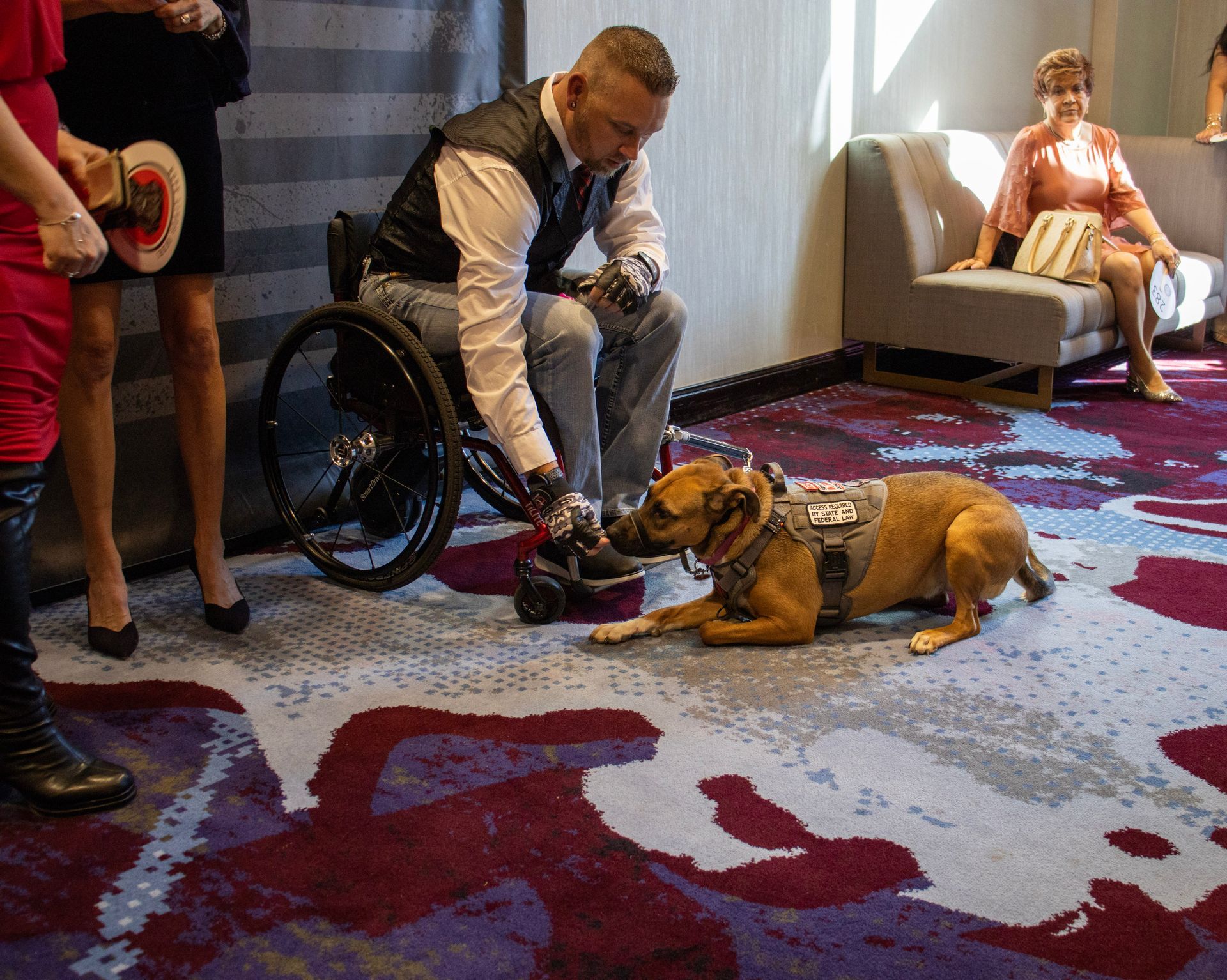 A person in a wheelchair interacts with a service dog wearing a vest on a patterned purple and blue carpeted floor.