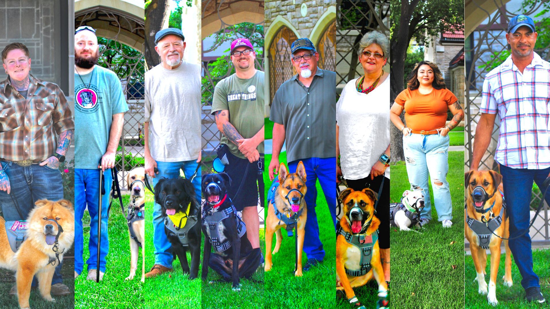 A collage of eight individuals standing outdoors on a lawn, each accompanied by their dog wearing a service harness.