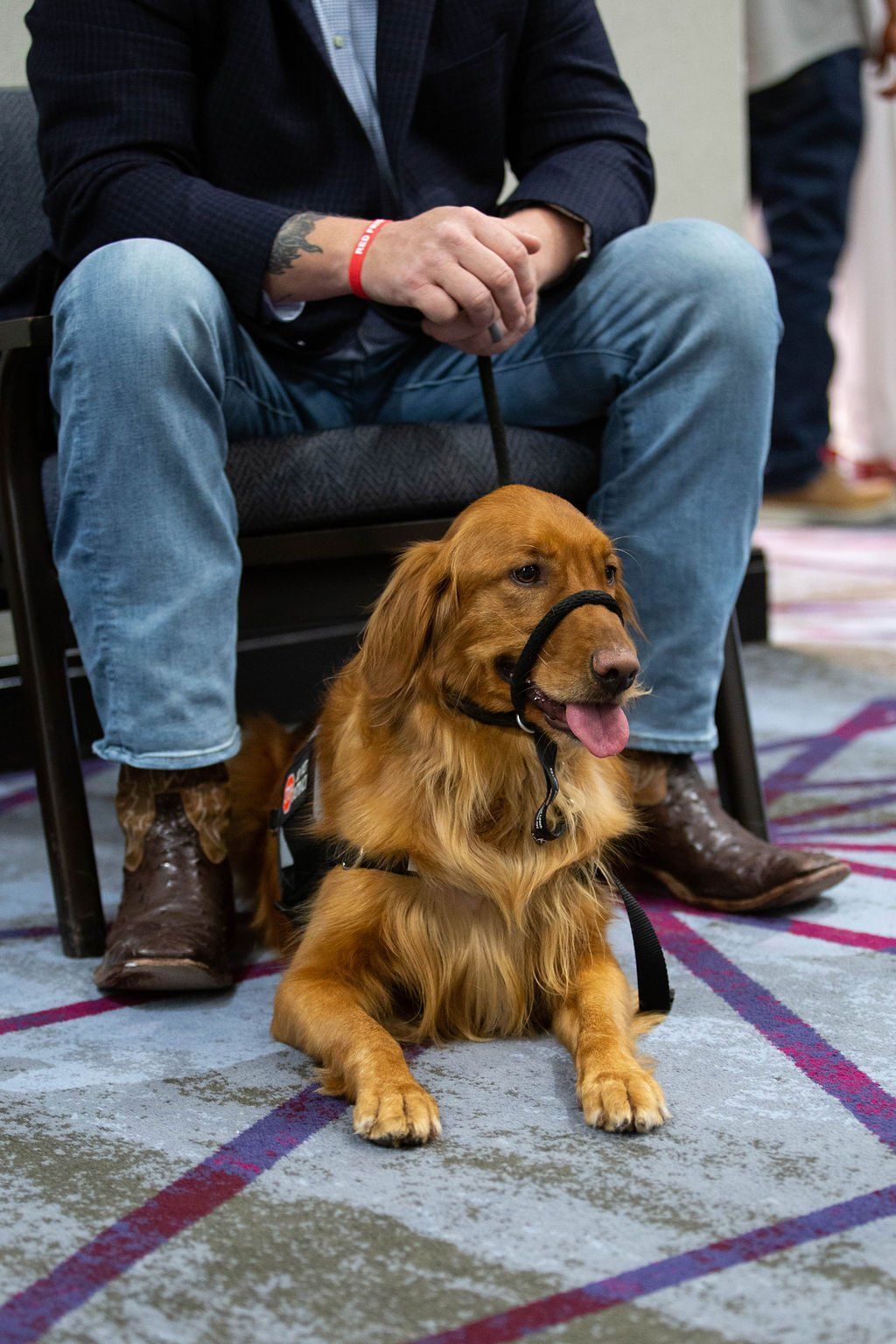 A person in jeans and cowboy boots sits on a chair with a golden retriever service dog lying at their feet.