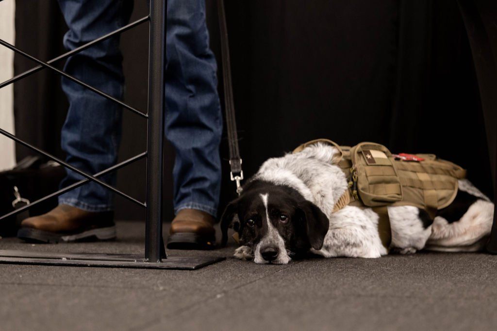 A black and white service dog wearing a tan tactical vest lies on the floor next to a person standing at a podium.