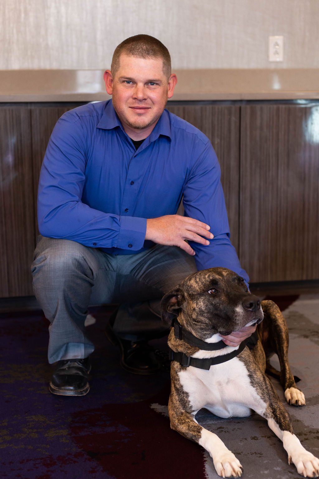A man in a blue button-down shirt crouching next to a brindle-and-white dog resting on a carpeted floor.
