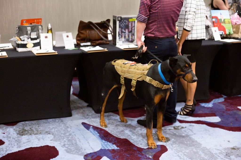 A black and tan dog in a tactical vest stands on a patterned carpet next to people at an indoor event with tables.