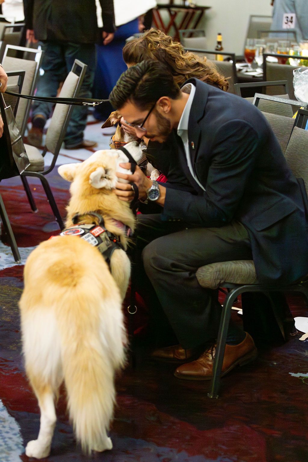 A person in a blue blazer sits on a chair, gently holding the snout of a light-colored service dog in a harness.