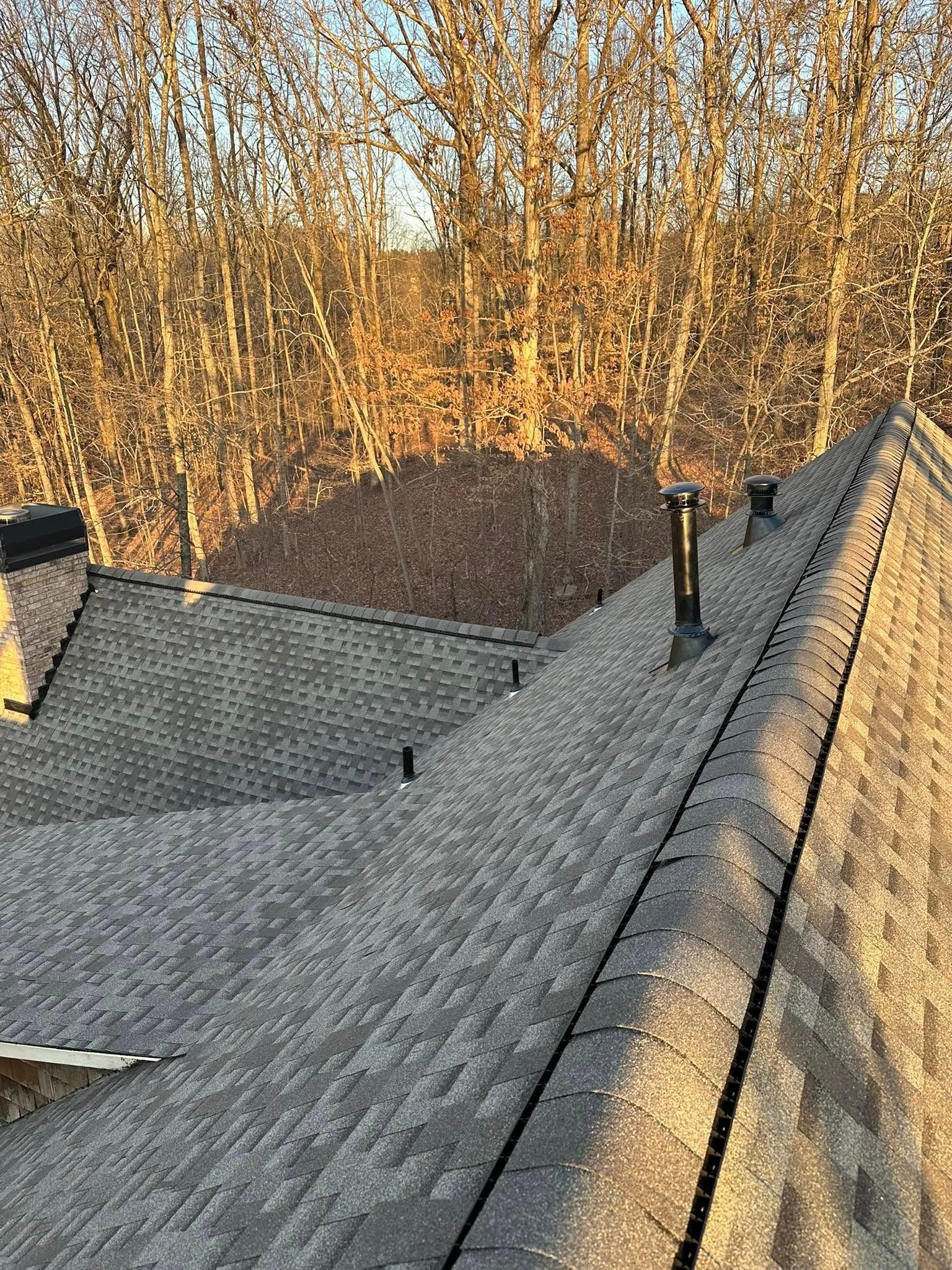 Gray shingled roof with black pipes against a backdrop of bare trees in sunlight.