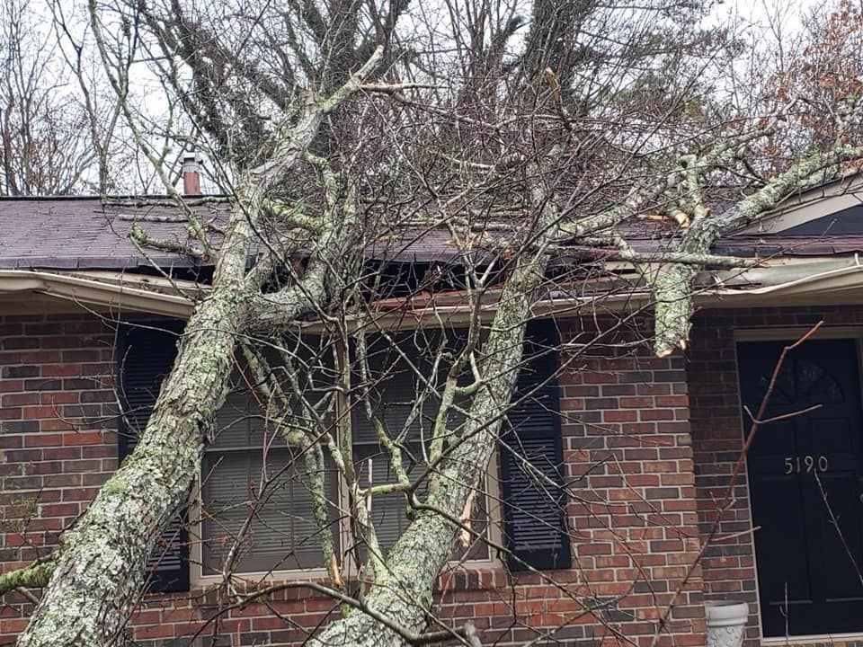 Tree fallen on a brick house; branches rest on the roof, partially damaging it. Overcast day.