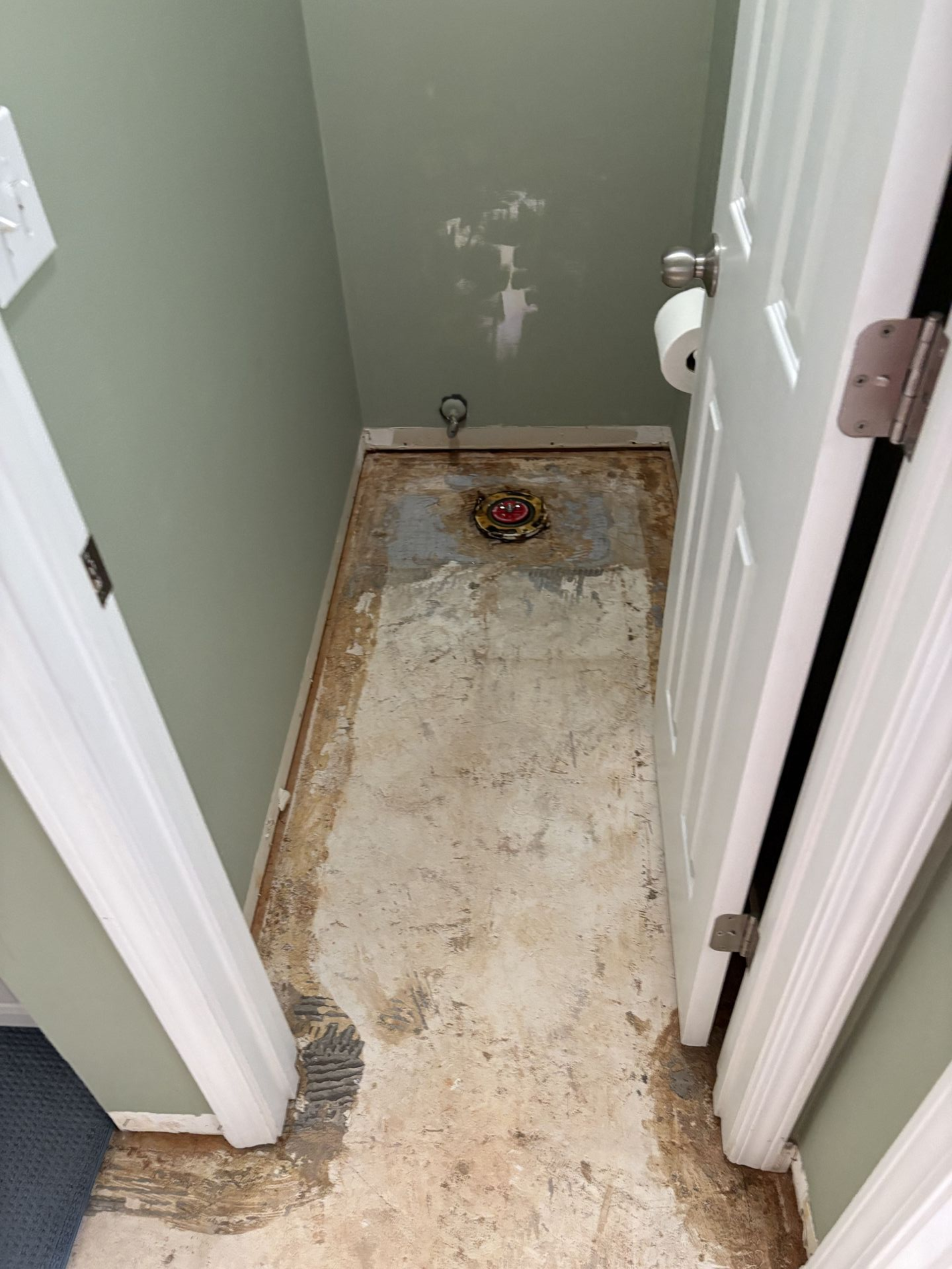 Bathroom with ripped-up flooring, toilet removed, walls painted light green, and a white door ajar.