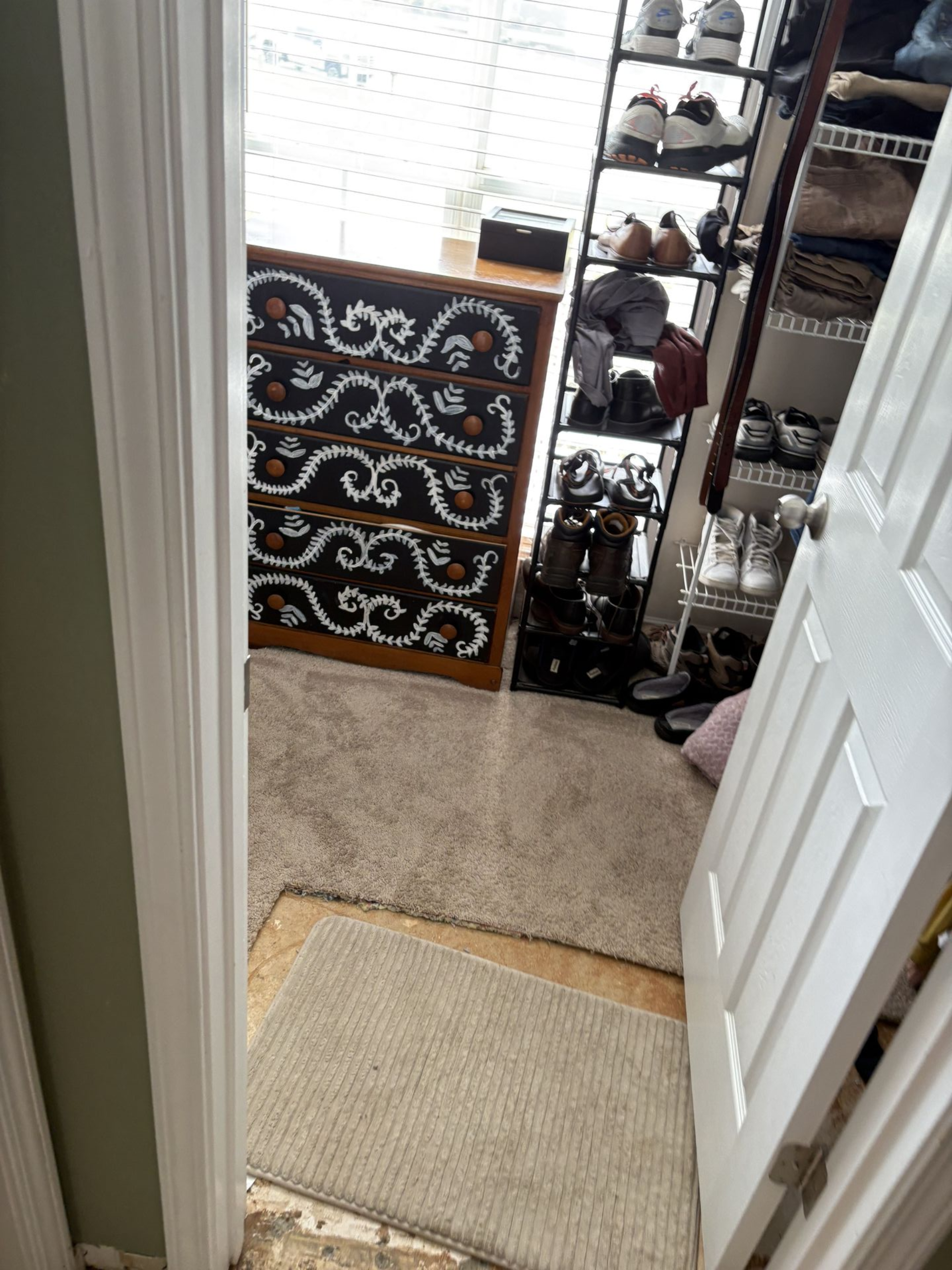 View into a walk-in closet with a dresser, shoe rack, and door. Carpeted floor with a rug.