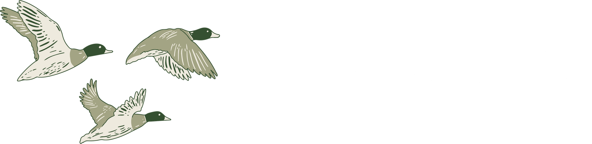 Three ducks in flight.