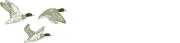 Three ducks in flight.