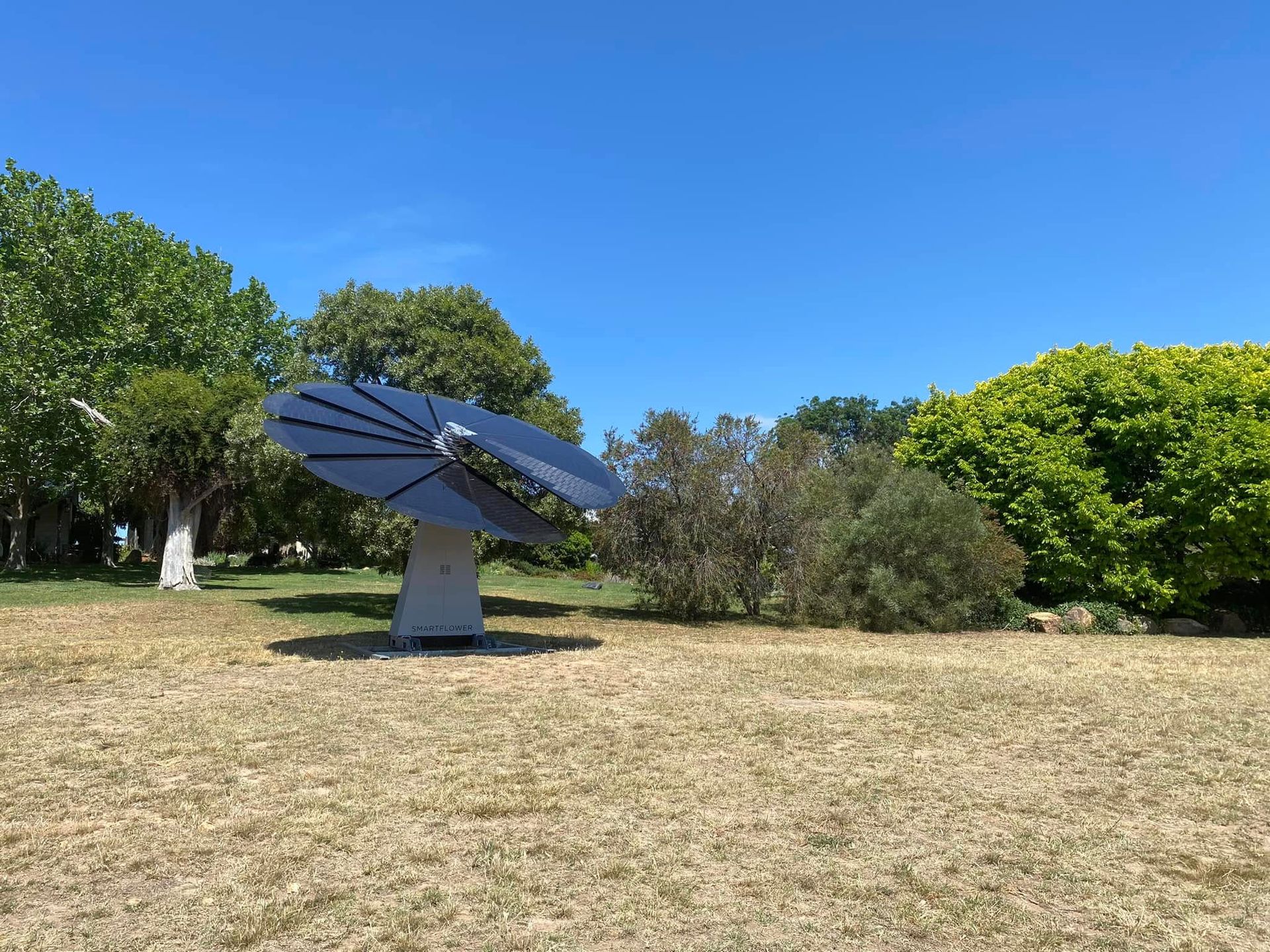 Large satellite dish on a grassy hill under a clear blue sky, with trees in the background
