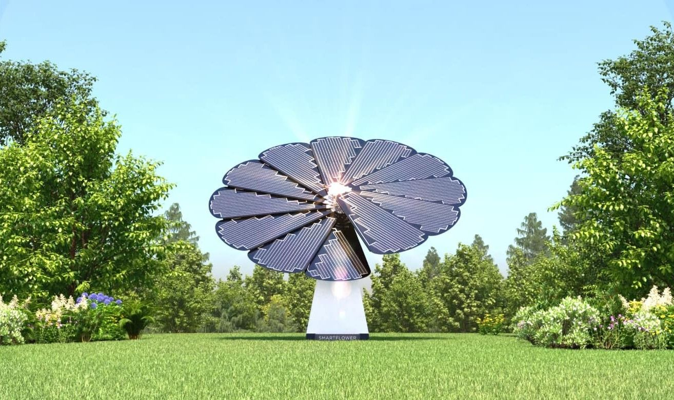 Large flower-like sculpture in a sunny green park under a blue sky