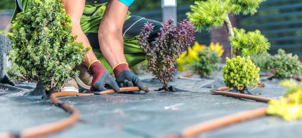 A person is working in a garden with a hose.
