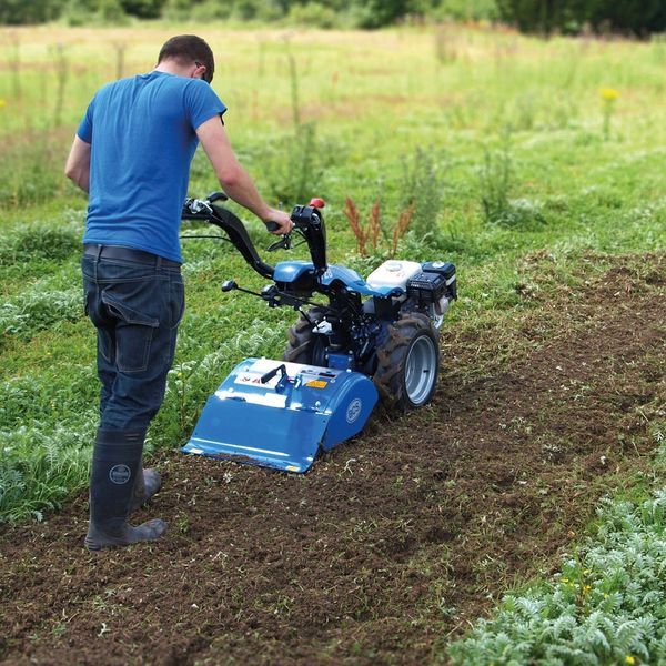 Building Gardens Service in Cornville, AZ