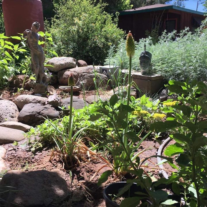 Gardening Service in Cornville, AZ