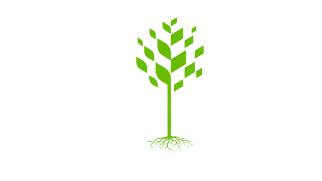 Green tree graphic with roots and geometric leaves.