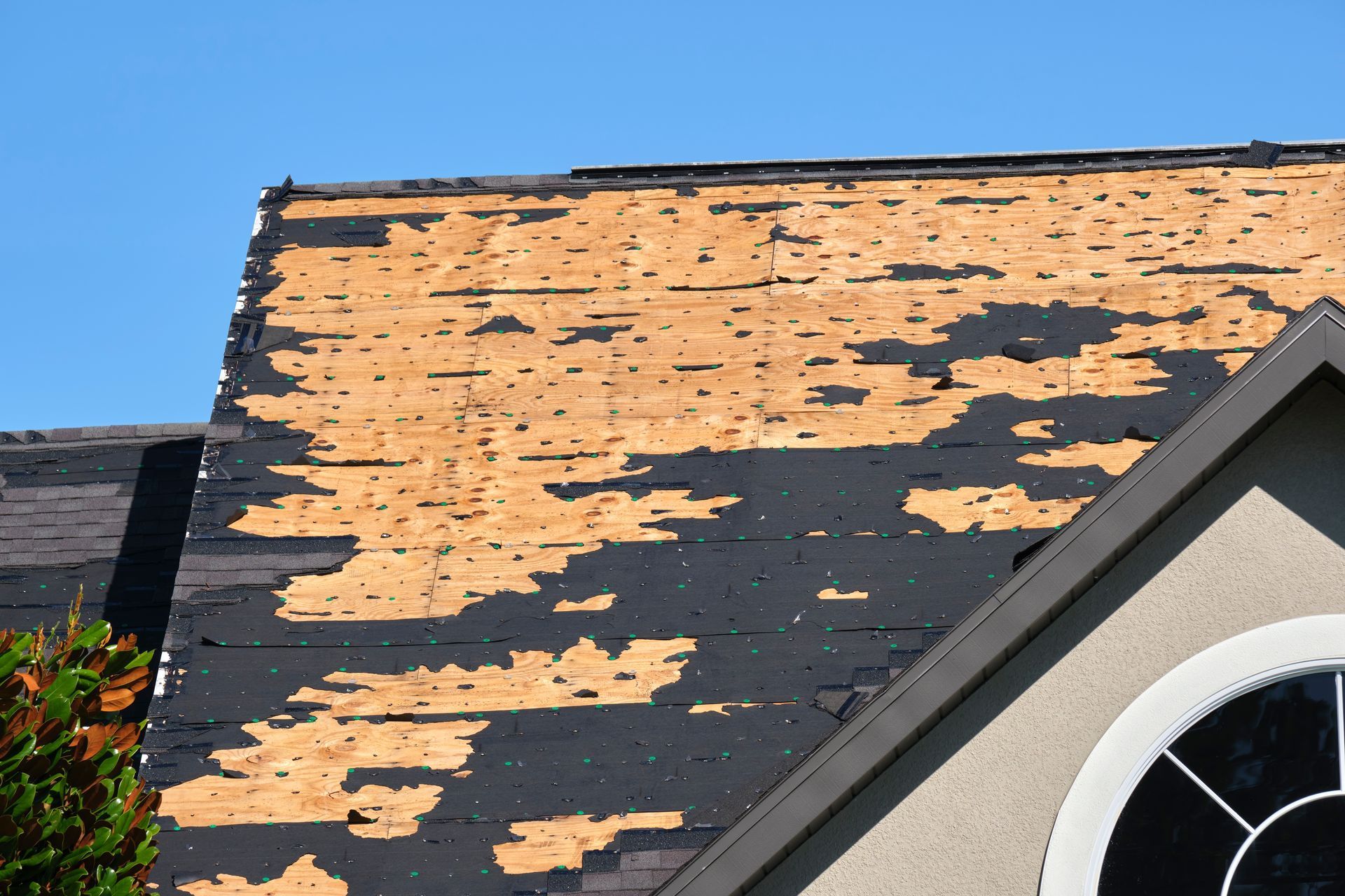 Damaged roof with peeling black shingles and exposed wood above a house window