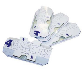 Pila di scatole o cartoni pieghevoli bianchi con il marchio 4VSects e testo blu su sfondo bianco.