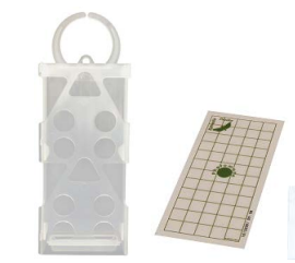 Supporto in plastica trasparente e un piccolo inserto con griglia a puntini verdi su sfondo bianco.