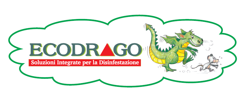 Logo ECODRAGO con drago verde e sottotitoli in italiano su sfondo bianco.