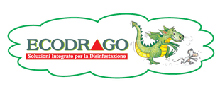 Logo ECODRAGO con drago verde e sottotitoli in italiano su sfondo bianco.