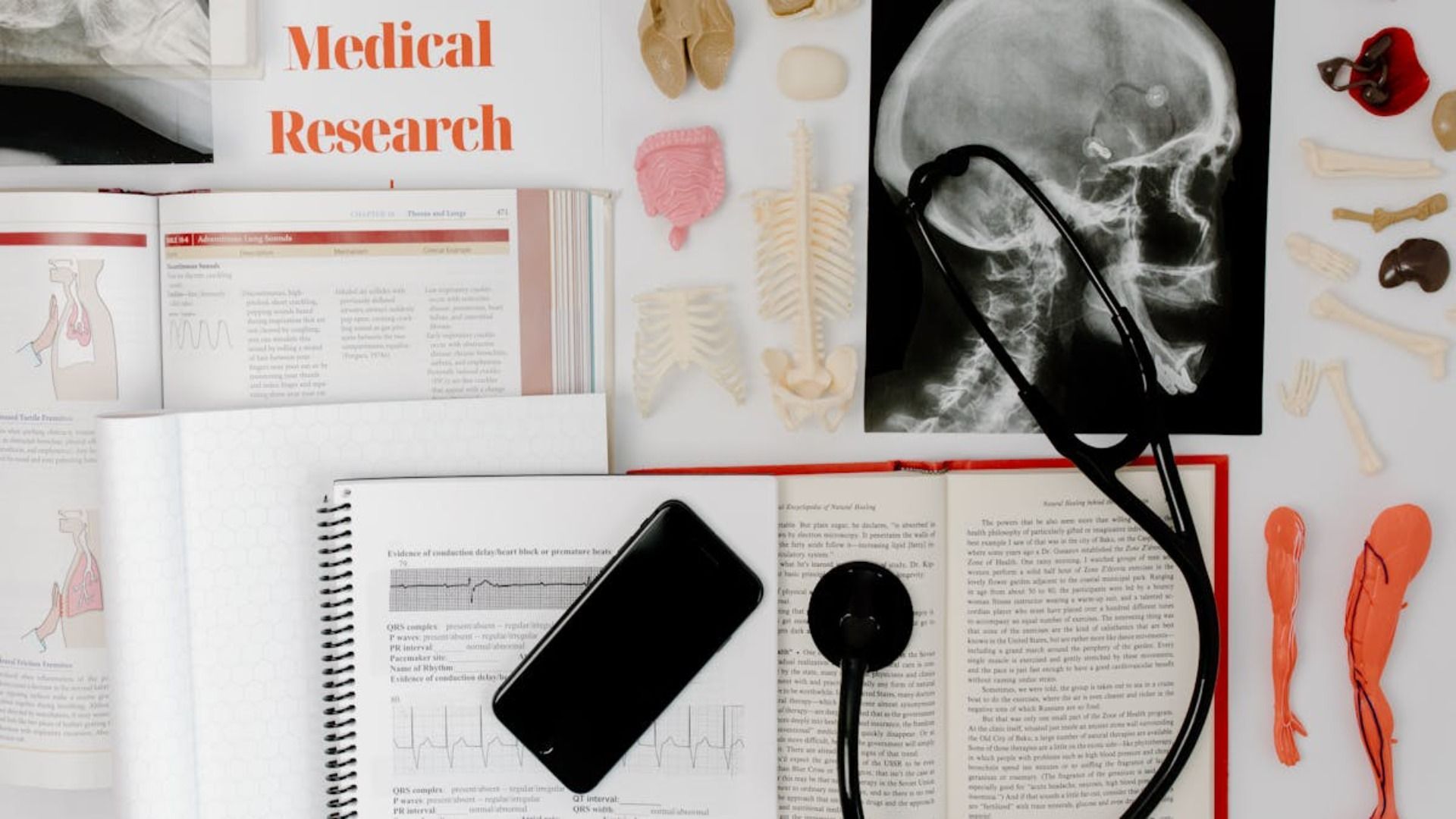 Naturaleza muerta de investigación médica con libros de texto, un estetoscopio y modelos anatómicos.