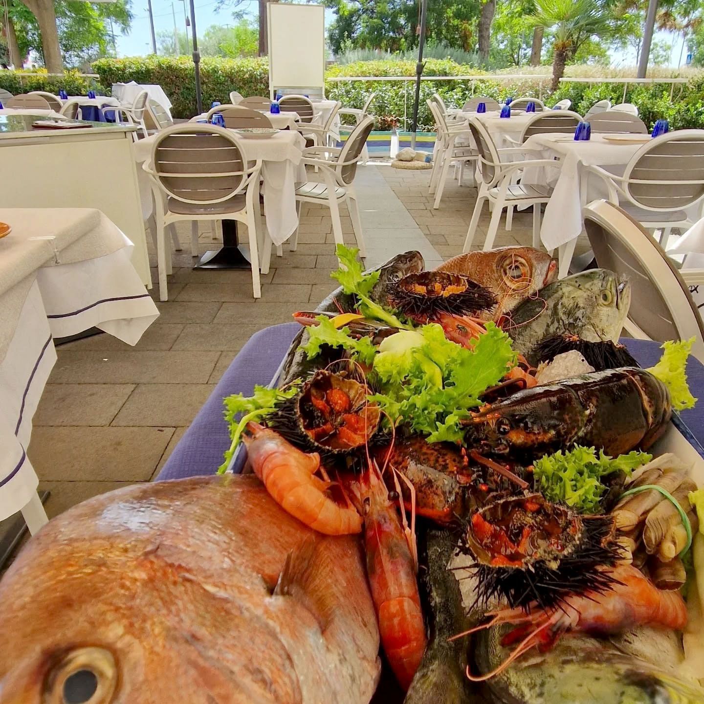 Piatti di pesce