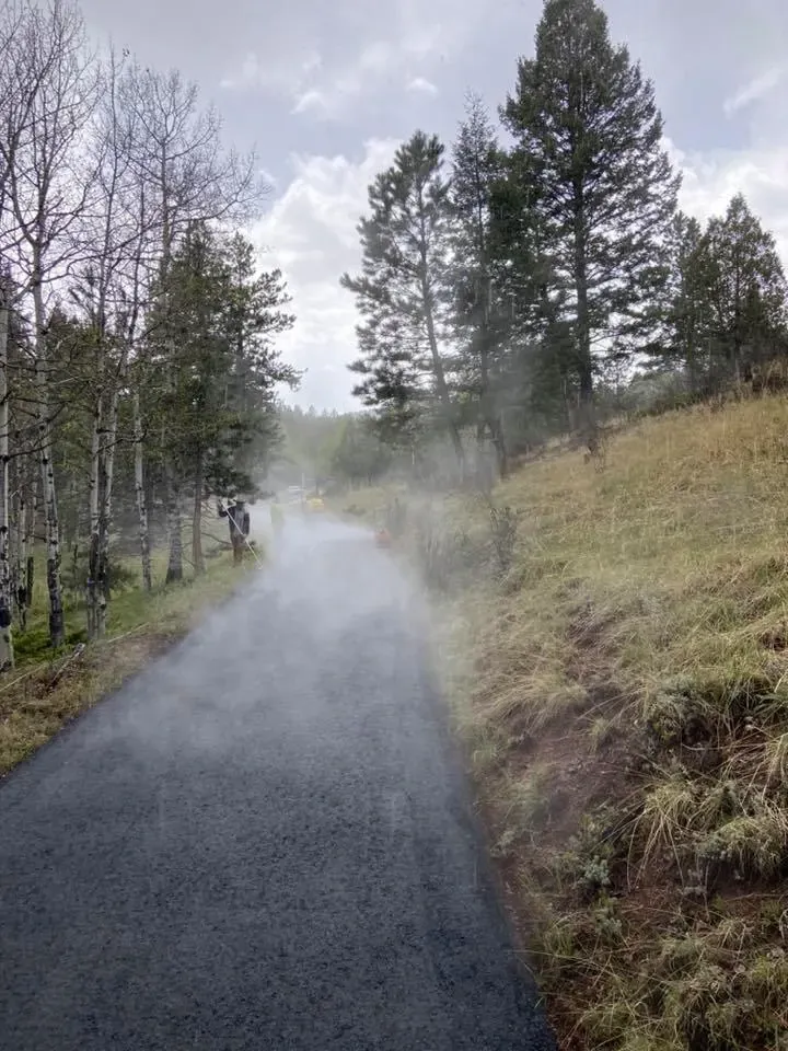 asphalt pines 3