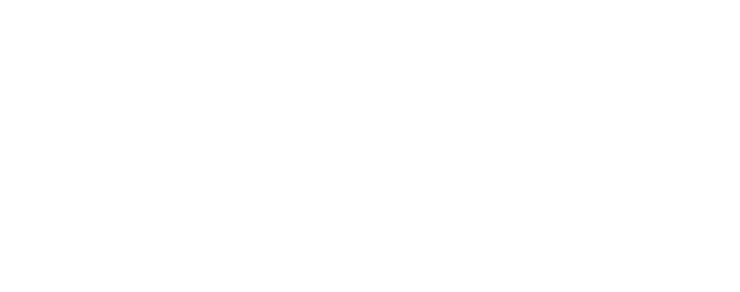 Mostly blank white and light gray image with a thick black horizontal line near the bottom