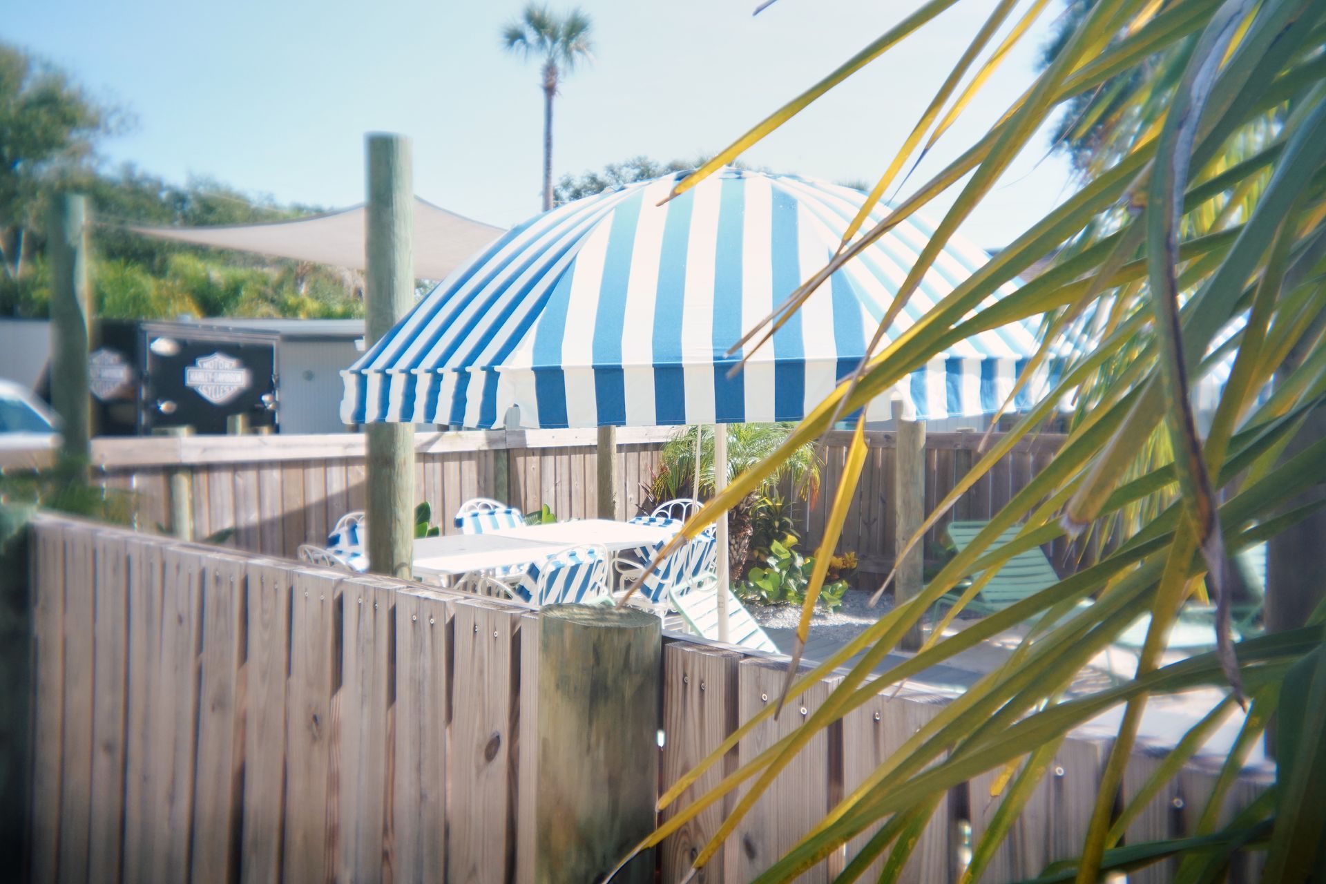 Blue-and-white striped umbrella beside a wooden fence and patio, with palm fronds in the foreground