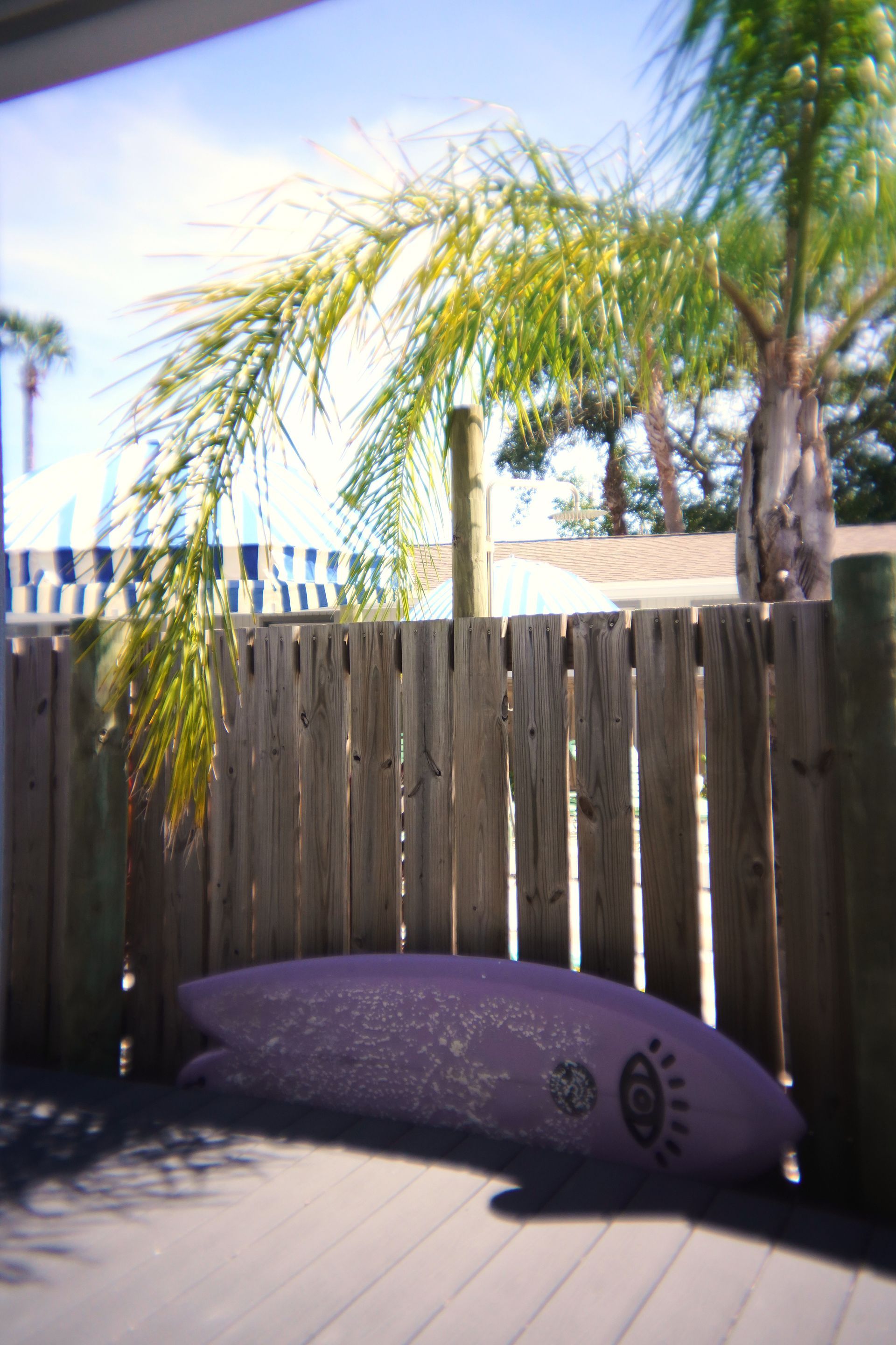 Backyard patio with a wooden fence, palm trees, and a purple surfboard leaning along the fence.