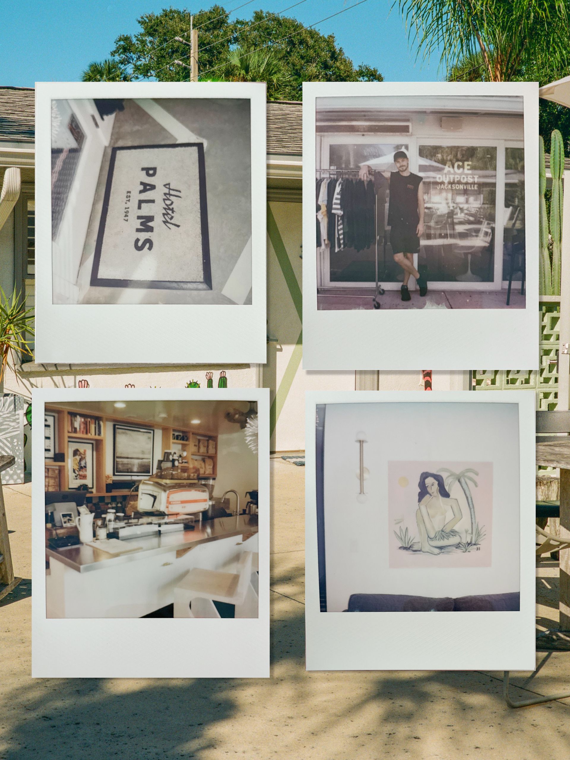Four polaroid photos displayed in a 2x2 grid against a leafy outdoor background