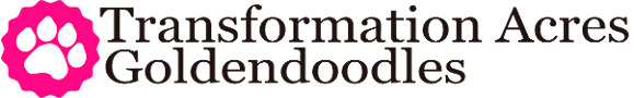 Transformation Acres Goldendoodles