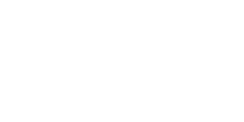 Primax logo