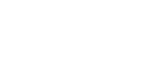 Wally logo