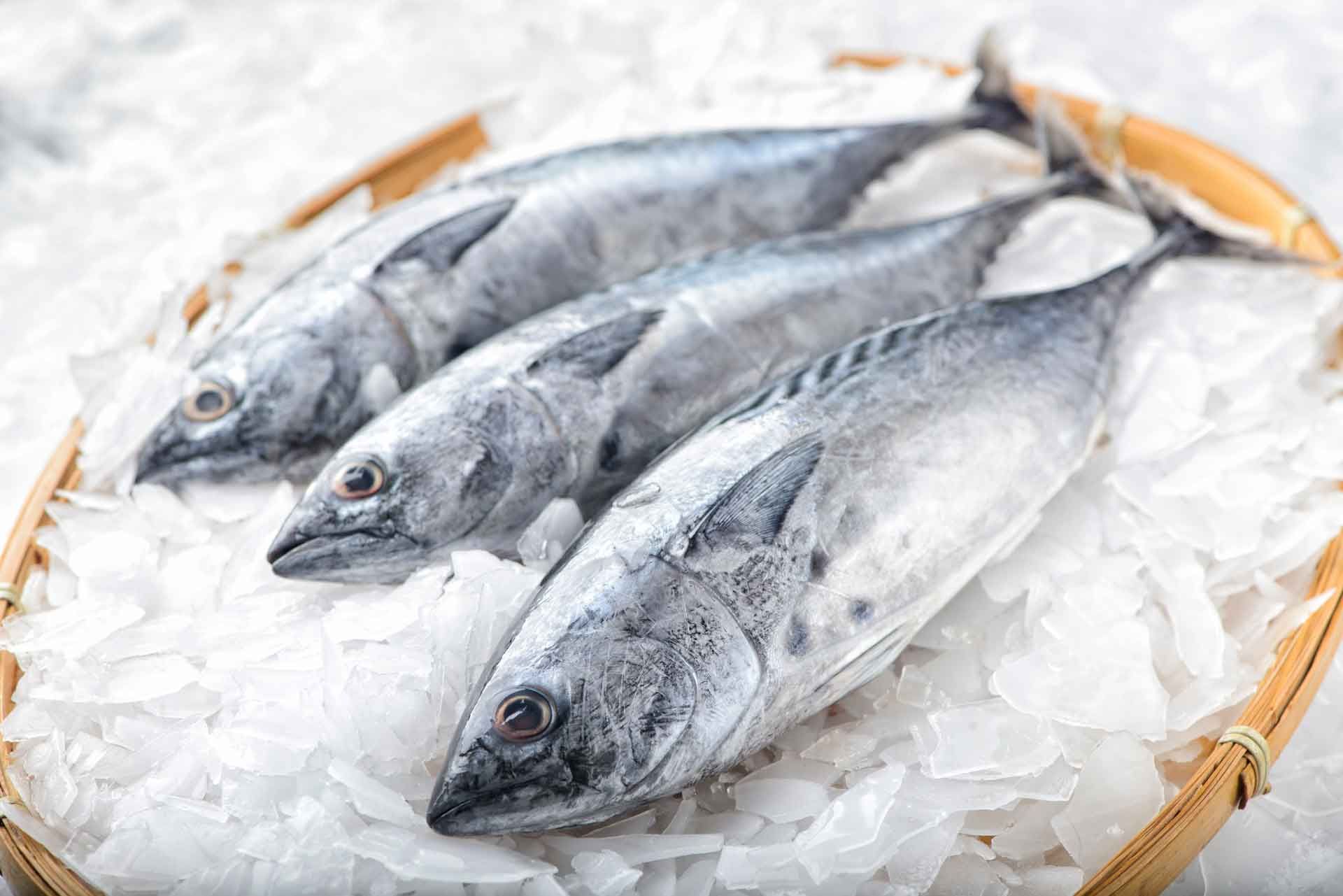 Seafood – Tampa, FL – Good Earth Meat & Seafood