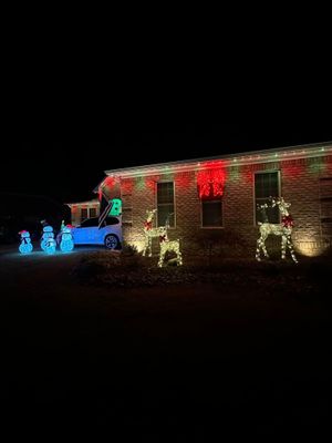 House decorated with colorful Christmas lights, including glowing red bows, blue figures, and lit shrubs at night