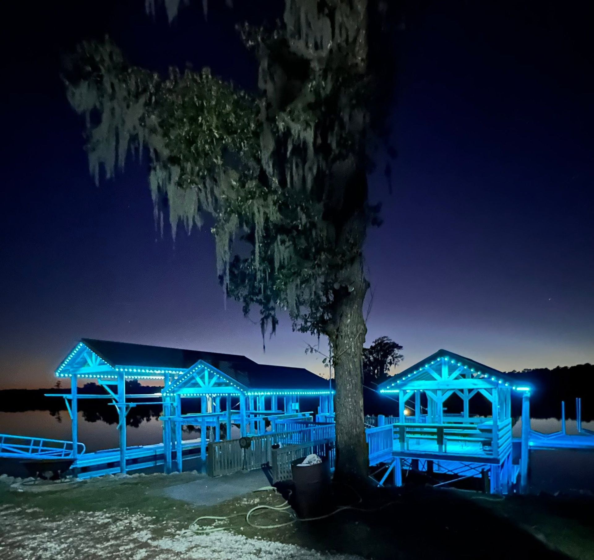 Blue-lit lakeside docks at night, with a large tree silhouetted against the dark sky.