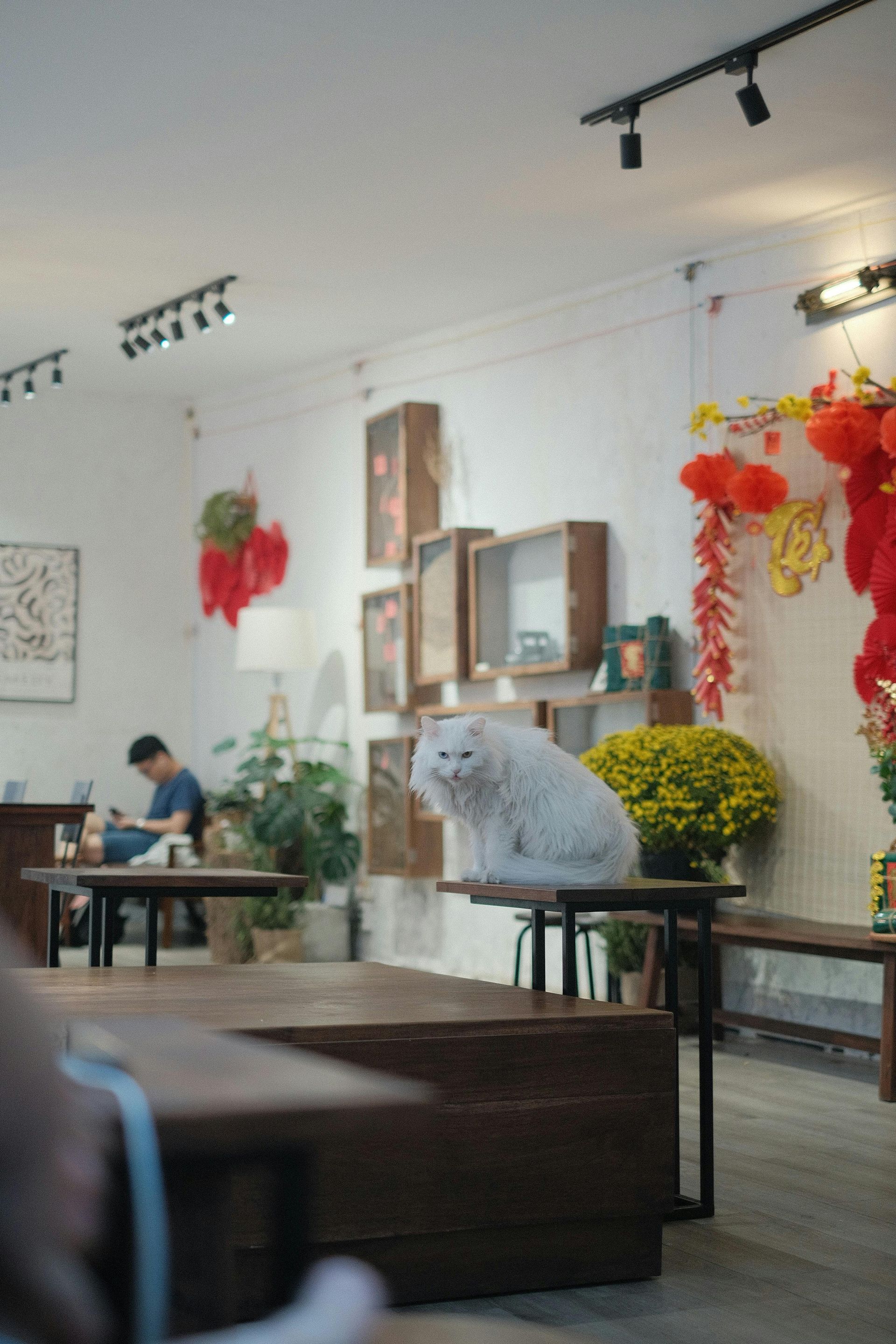Infuse Festivity in Every Corner with Subtle Details