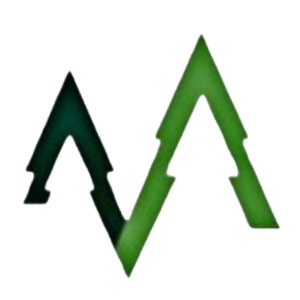 Demisiones SRL