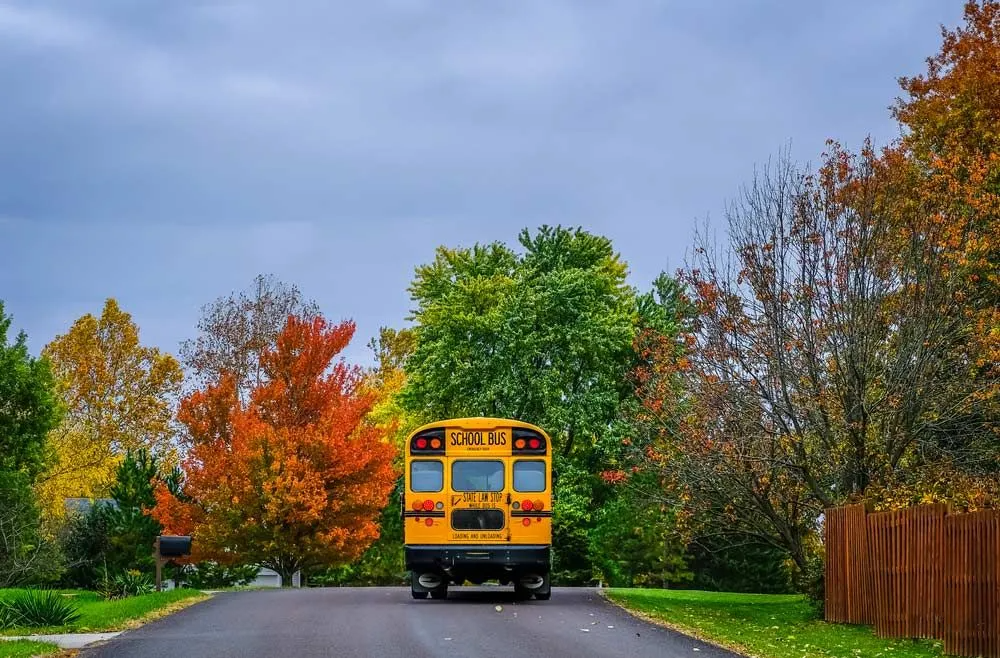 A Yellow School Bus is Driving Down a Road Surrounded by Trees — Truck Training and Assessments In Umina Beach, NSW