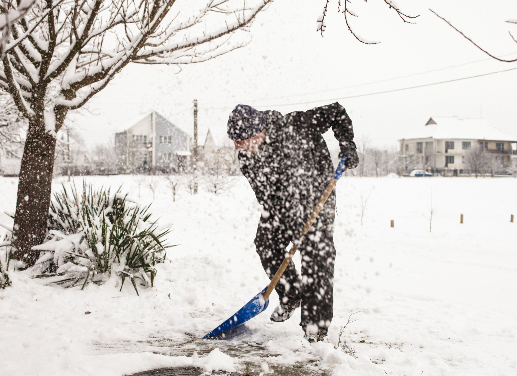 snow removal in my area