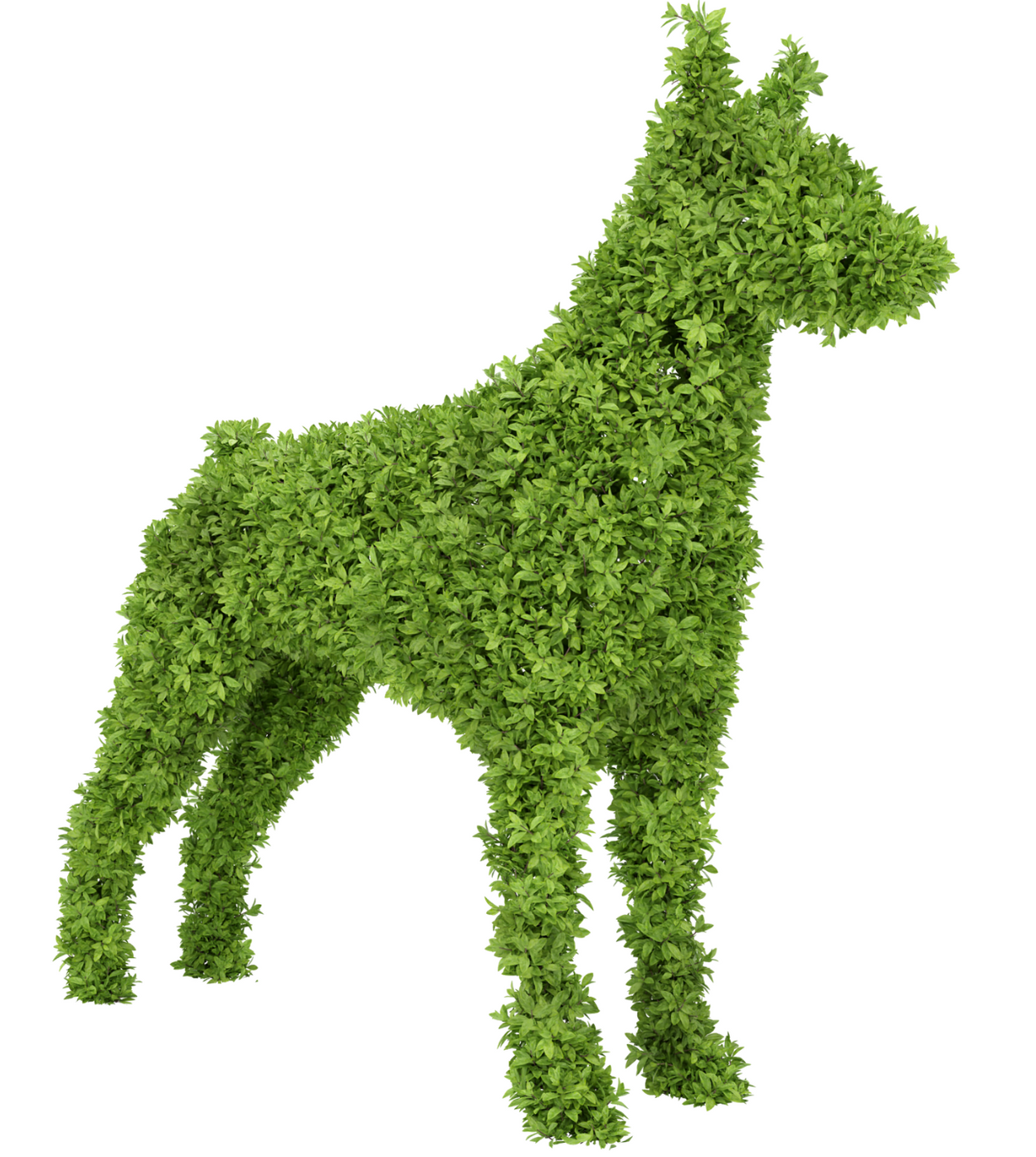 lawn care Peoria Il