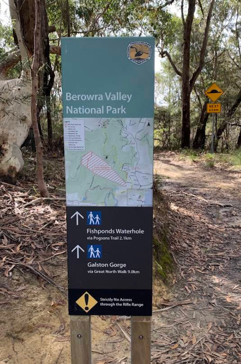 Blue Gum Walk