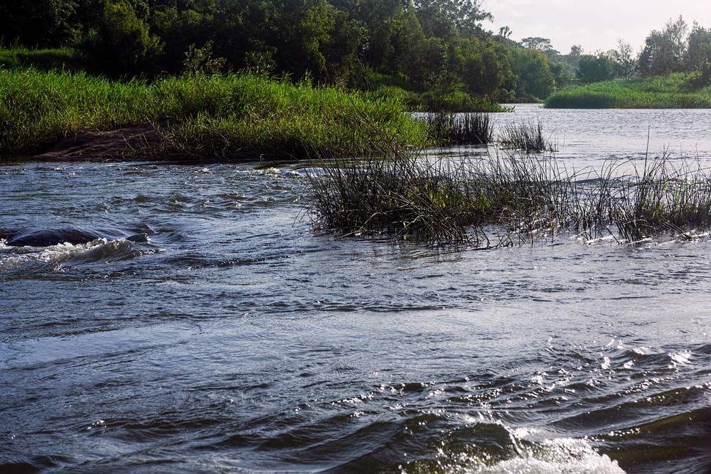 A River Flowing Through a Grassy Area With Trees in the Background — Polley's Concrete Pumping in Marian, QLD