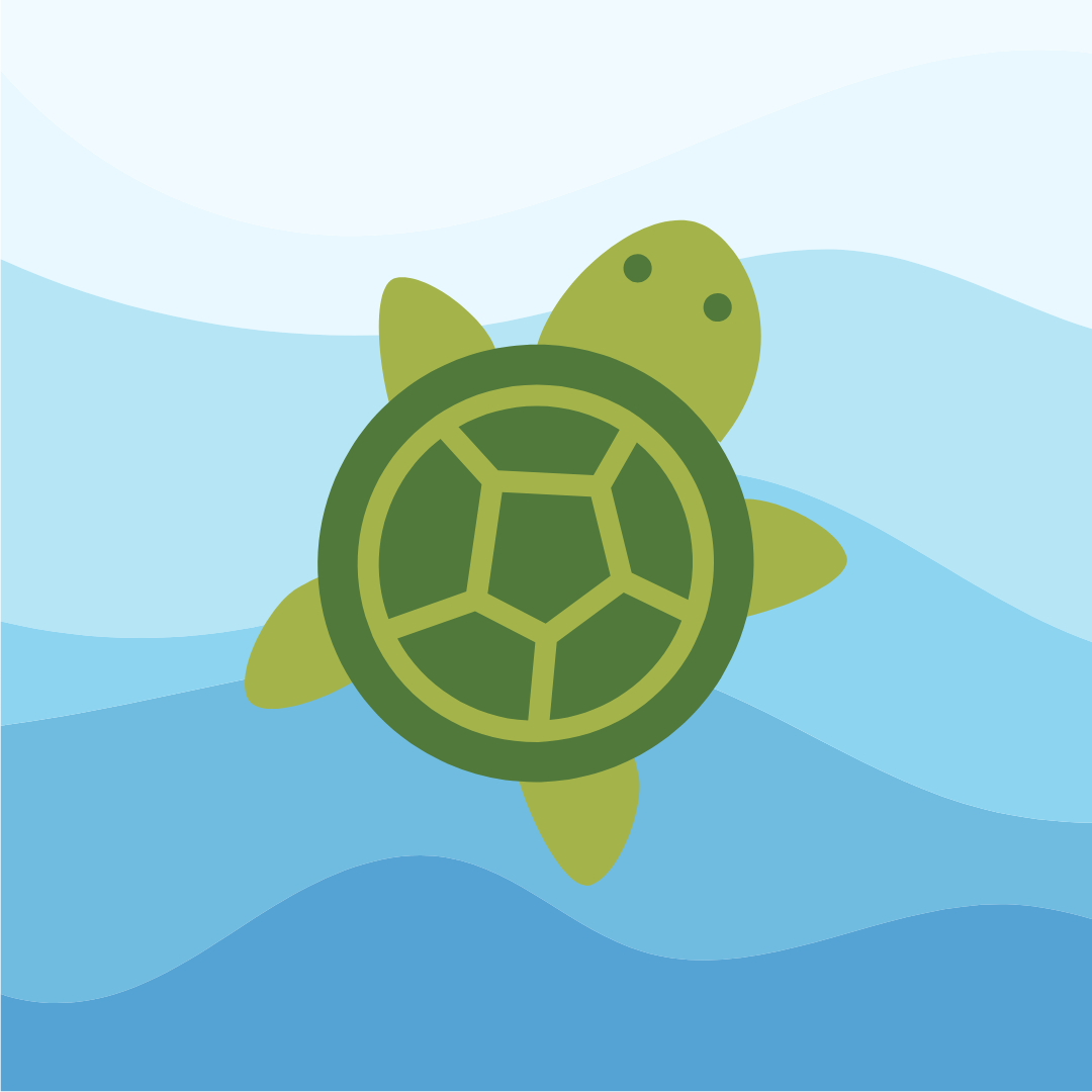 Baby turtle icon
