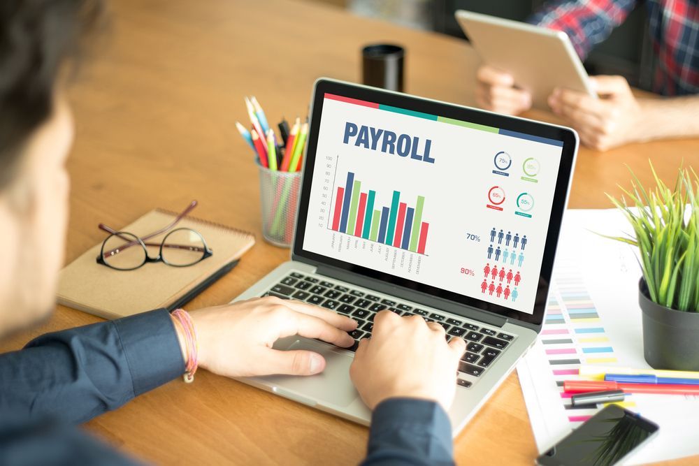 Person Using a Laptop Displaying a Payroll Dashboard With Charts and Data — Blue Chip Bookkeeping in Newcastle, NSW