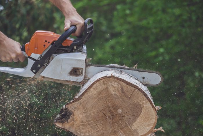 Chainsaw — Bend, OR — Bend Tree Service Chainsaw — Bend, OR — Bend Tree Service