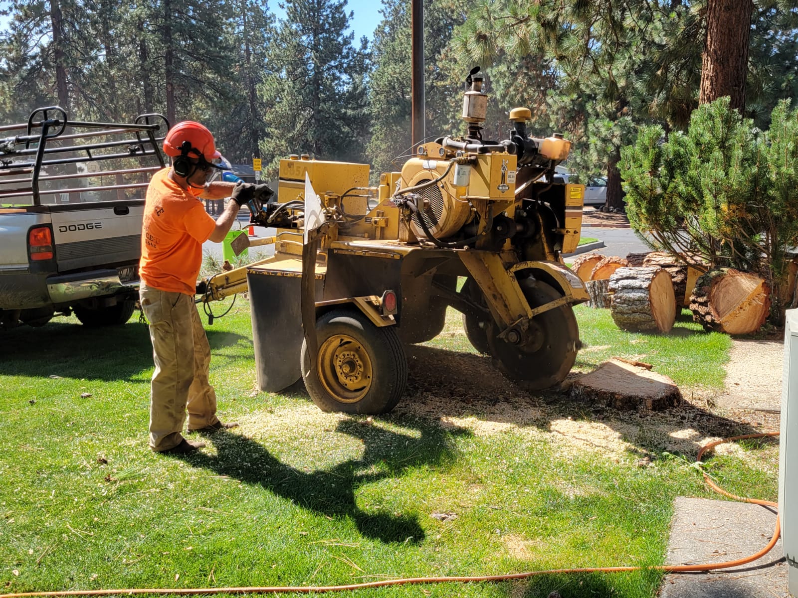 Safe Stump Removal — Bend, OR — Bend Tree Service Safe Stump Removal — Bend, OR — Bend Tree Service