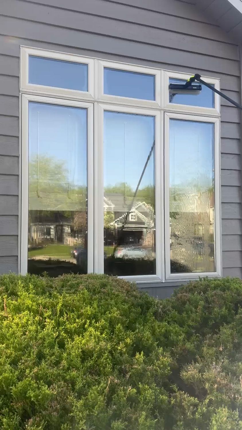 White-framed window on gray siding with reflections, partially obscured by green shrubs.