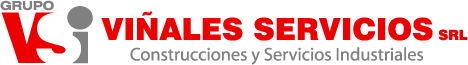 Grupo Vsi